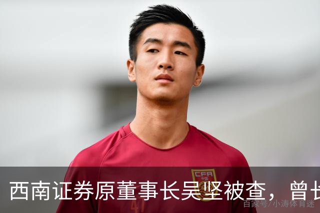 西南证券原董事长吴坚被查，曾长期执掌跨境业务