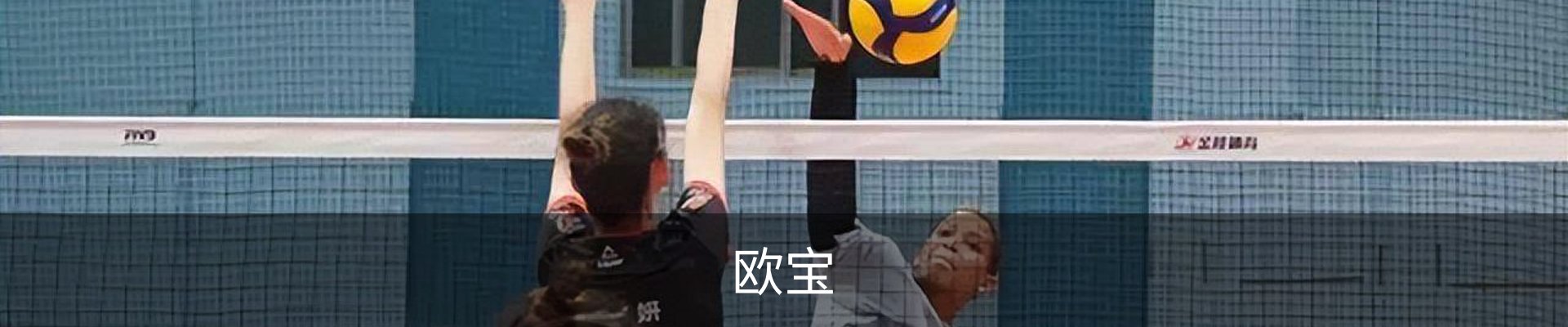 欧宝体育官方网站